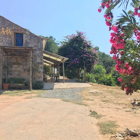 Séjour à la campagne Wild Oasis - Algarve