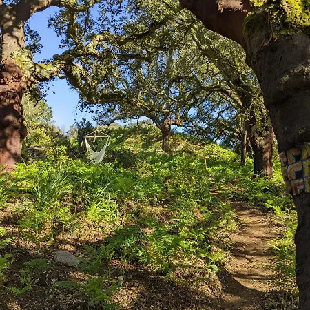 Gospodarstwo wiejskie Wild Oasis - Algarve