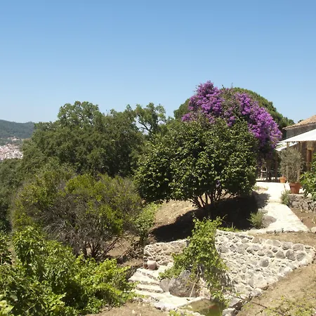 Wild Oasis - Algarve Gospodarstwo wiejskie Esgravatadouro