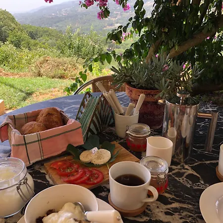 Wild Oasis - Algarve Gospodarstwo wiejskie *