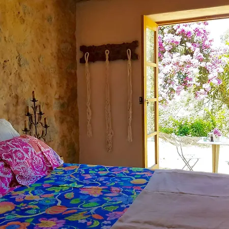 Wild Oasis - Algarve Kır Evi