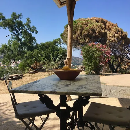 Kır Evi Wild Oasis - Algarve