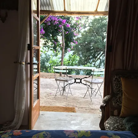 Kır Evi Wild Oasis - Algarve Esgravatadouro