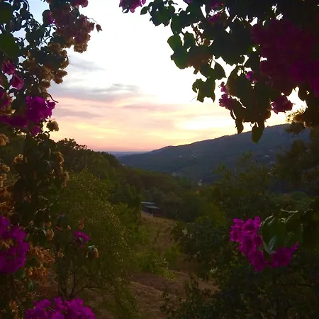 Kır Evi Wild Oasis - Algarve Esgravatadouro